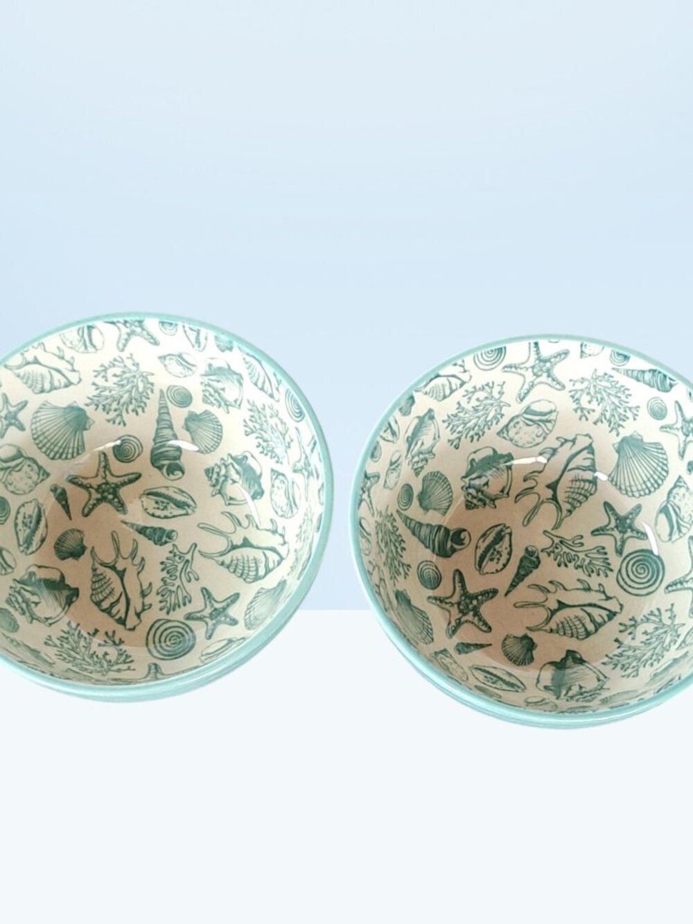 2 Pfaltzgraff Venice Soup Cereal Bowls 6" Wide x 3" Tall, Seashells, Ocean Beach - Picture 13 of 16